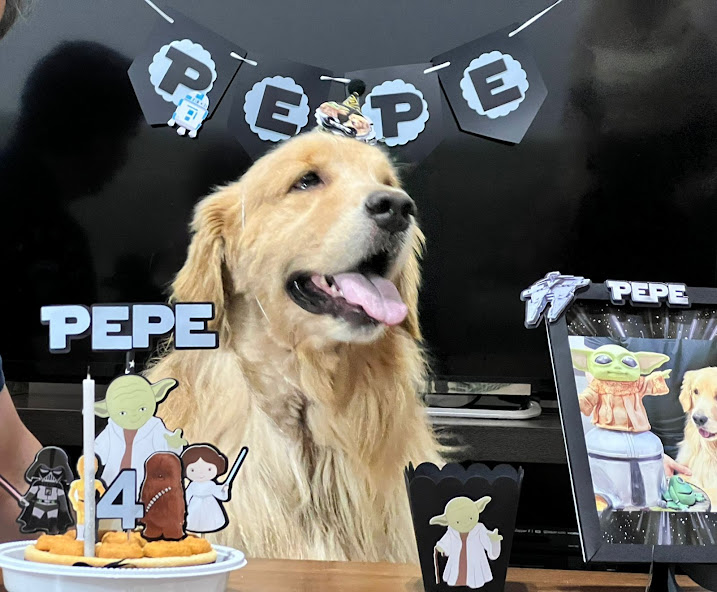 Dog Tematico 17