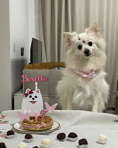 Dog Tematico 11